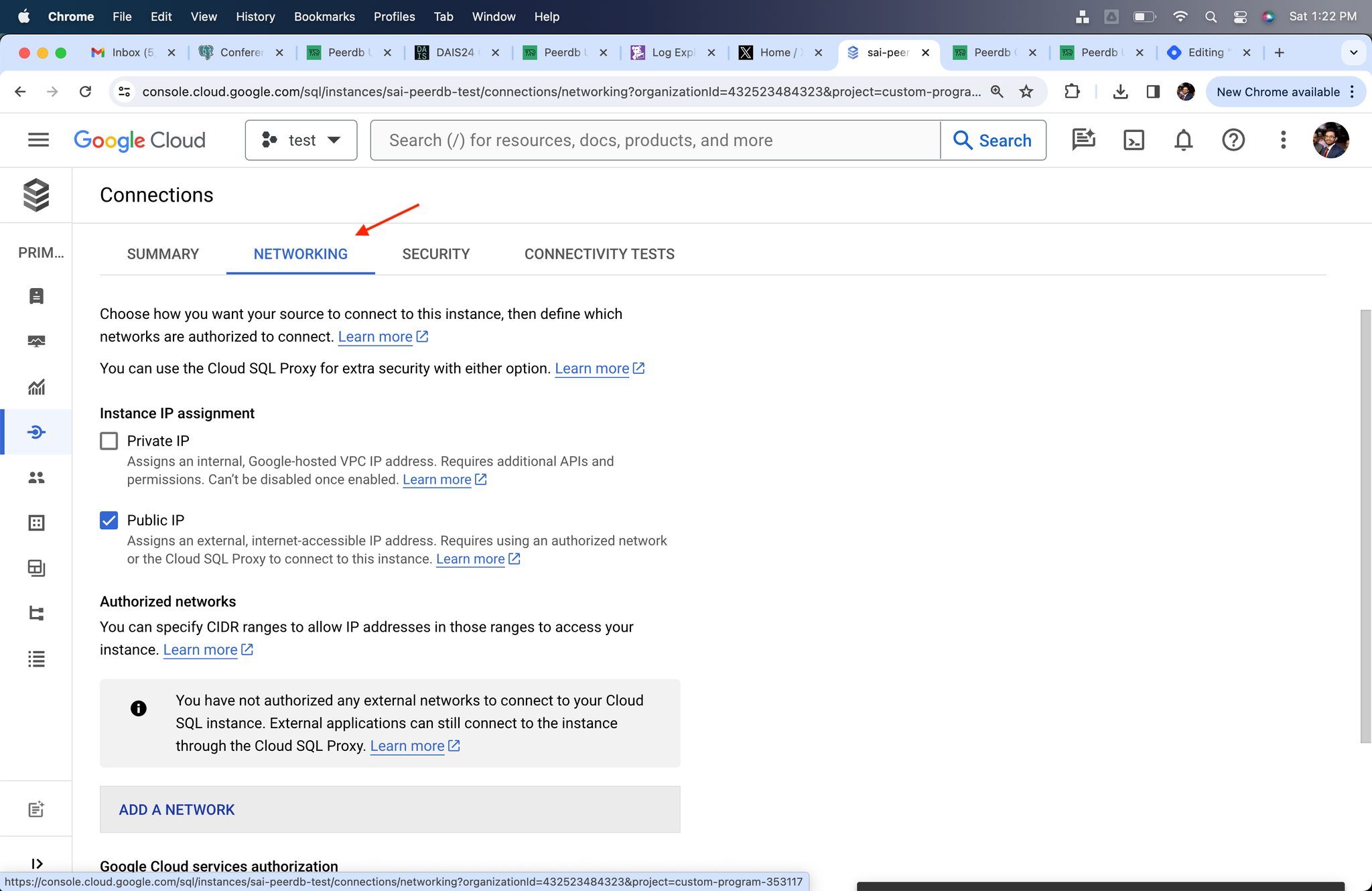 Networking Subsection in Cloud SQL - Zoomed